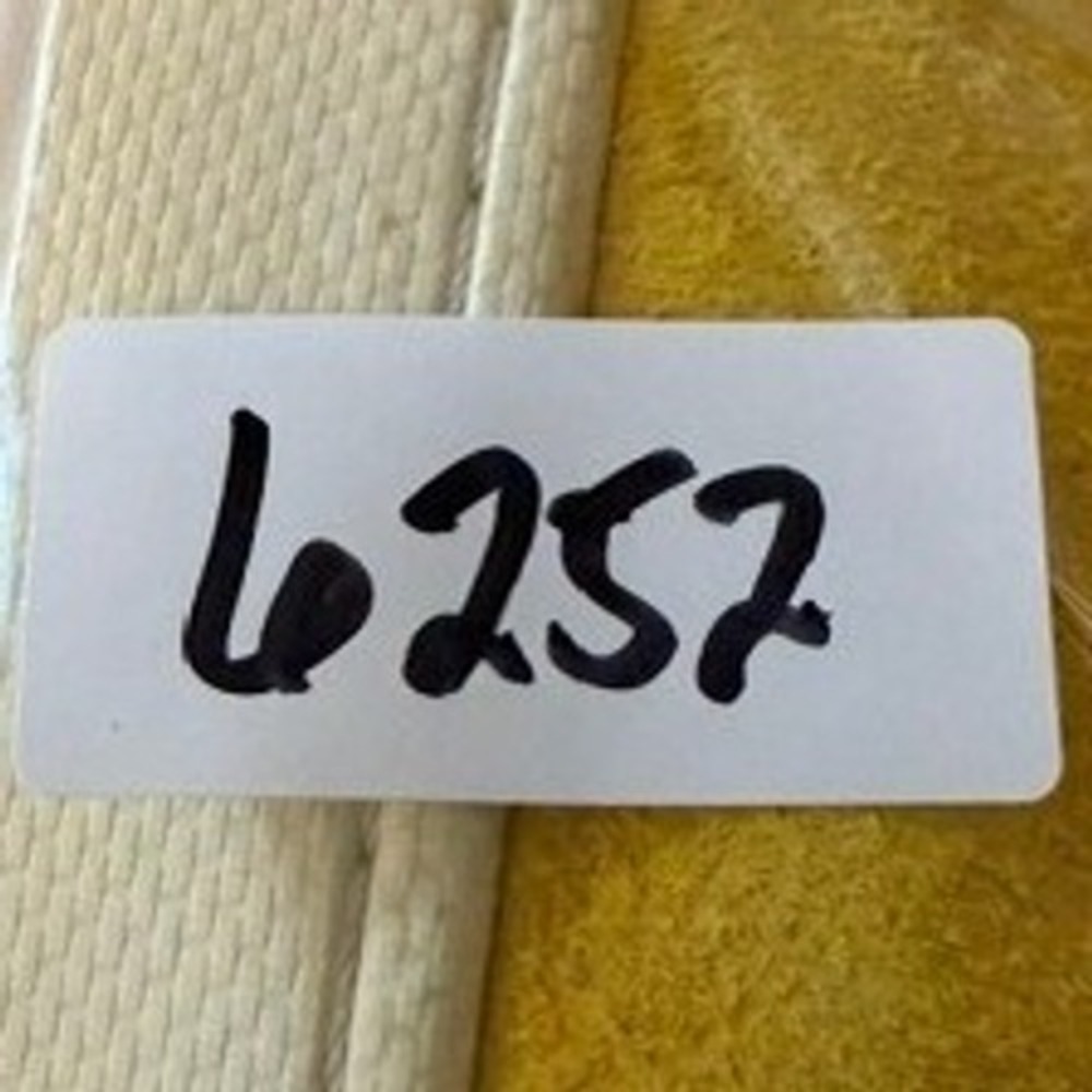 Converse Pro Leather PL 76 Ox Mens 10.5 Yellow Hairy Suede High Top 155339C - Picture 10 of 10